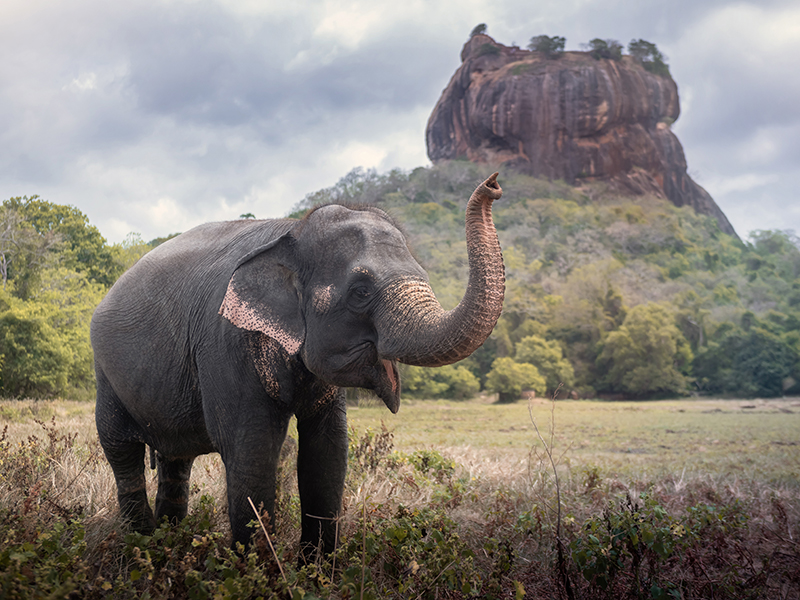 Kandy & Kaluthara, Sri Lanka